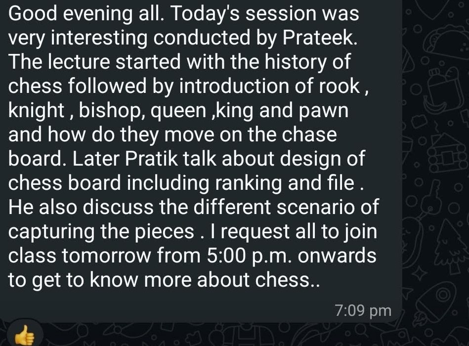 Participant feedback describing an interesting introductory chess session